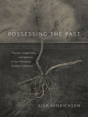 cover image of Possessing the Past